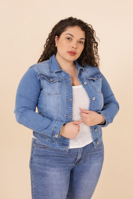 jeans grande taille